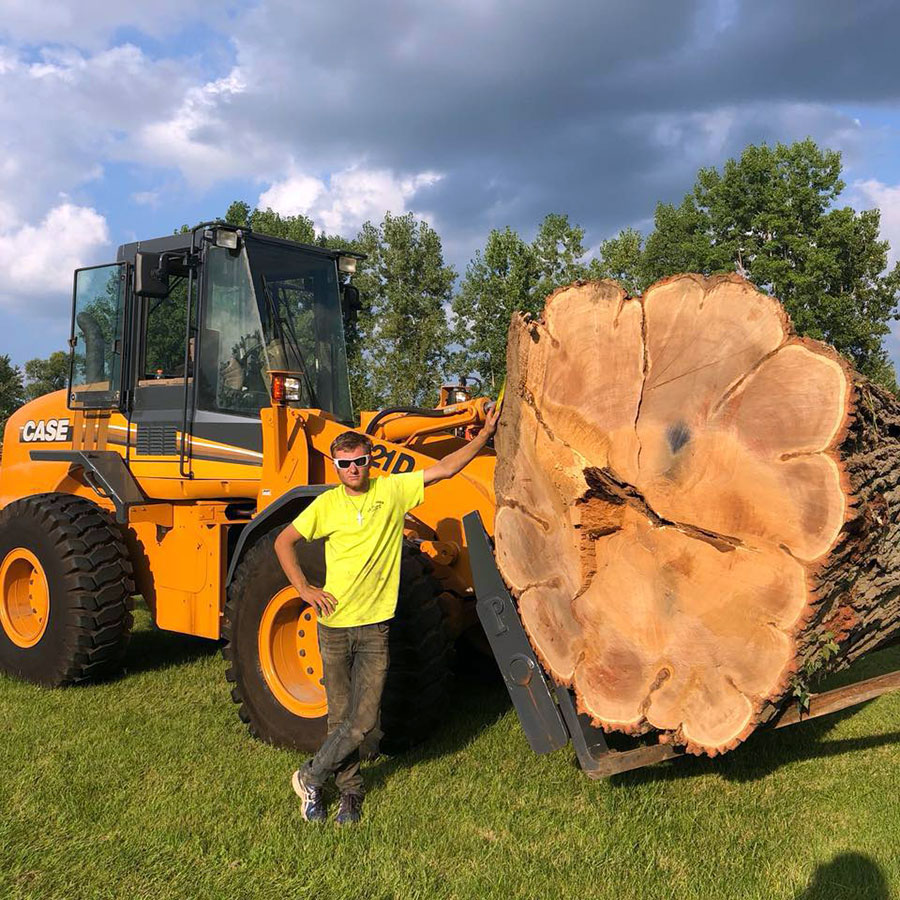 Tip Top Timber Co. removing a large tree 