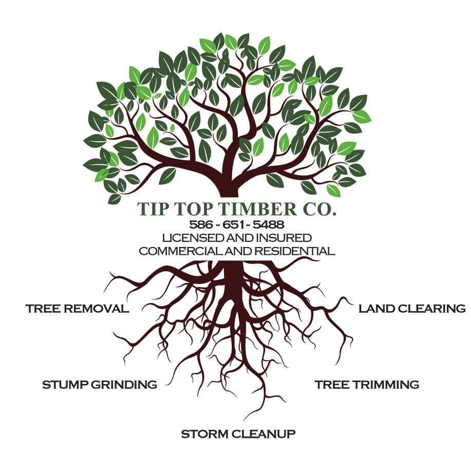 Tip Top Timber Co. Logo 