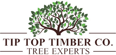 tip-top-timber-co-web-logo